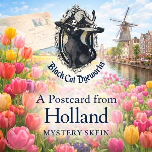 A Postcard from Holland - Mystery Skein Pre Order