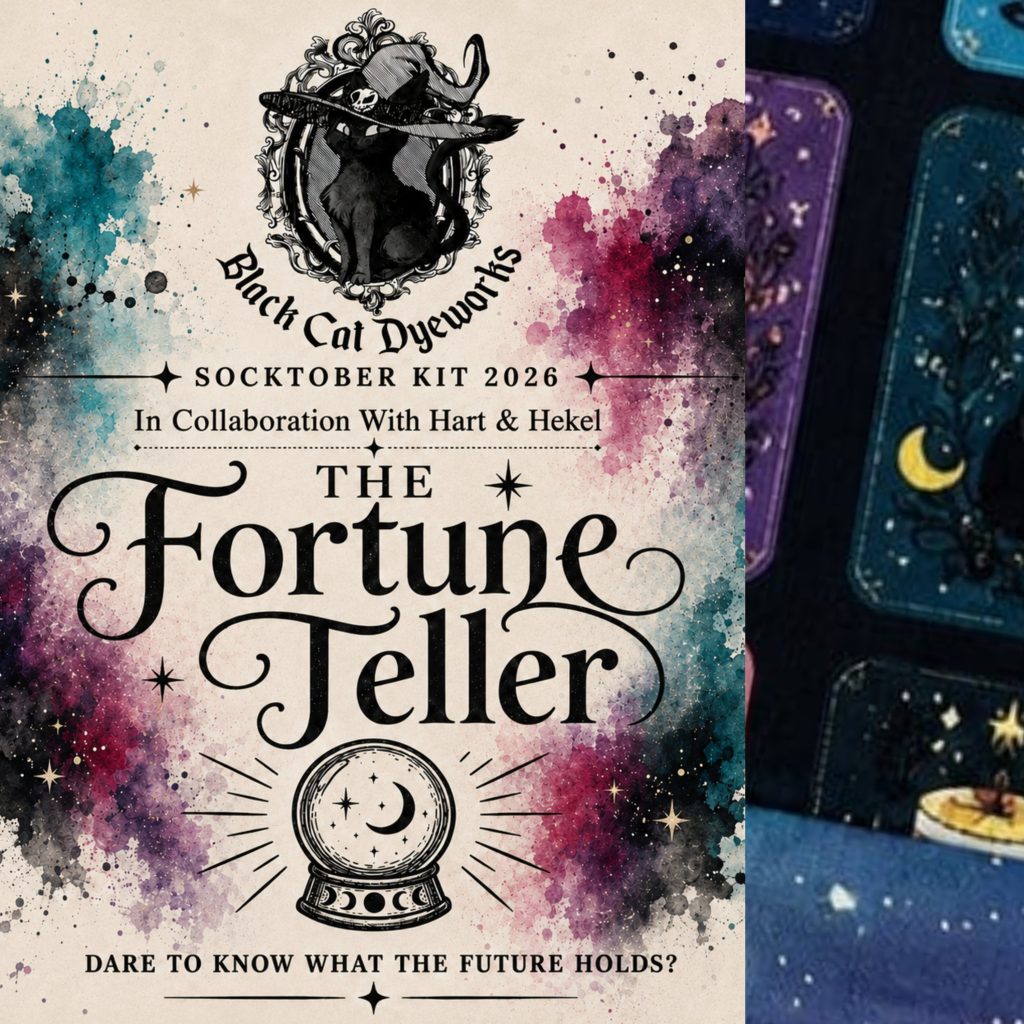 The Fortune Teller Socktober kit